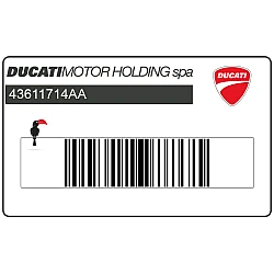 Emblema carenatura, superiore