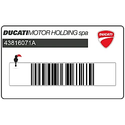Fairing DUCATI CORSE logo decal