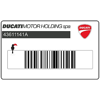 Frame DUCATI MONSTER 620I.E. sticker