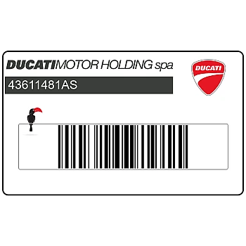 Emblema DUCATI para depósito de combustible