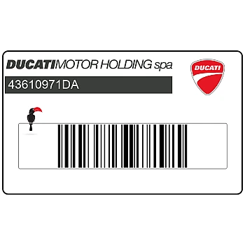 Frame DUCATI MONSTER DARK logo sticker