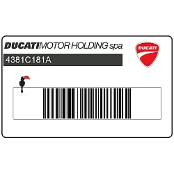 Adesivo logo Ducati Corse superiore anteriore
