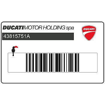 Pegatina central Ducati Corse