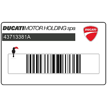 Ducati Safety Pack Aufkleber linke Seite Verkleidung