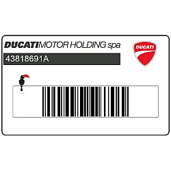 Naklejka na owiewkę boczną DUCATI