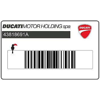 Adesivo carenatura laterale DUCATI