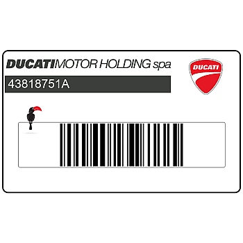 Adesivo carenatura lato sinistro Ducati