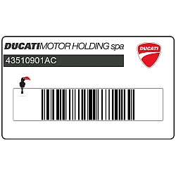 Fuel tank DUCATI emblem