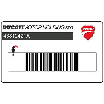 Seitenverkleidungsaufkleber DUCATI 998 links