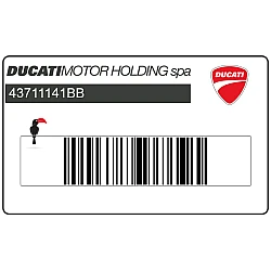 Adesivo carenatura laterale DUCATI ST4s, lato destro