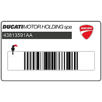 Seitenverkleidung DUCATI 999 Aufkleber