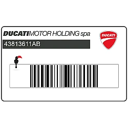Seitenverkleidungsaufkleber DUCATI 999S