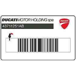 Adesivo carenatura laterale DUCATI 1000, lato destro