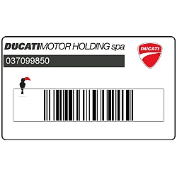 Emblema serbatoio DUCATI
