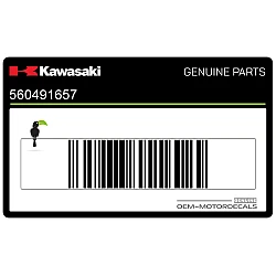 Adesivo serbatoio ZZ-R250, lato sinistro