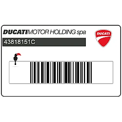 Adesivo lettering DUCATI per serbatoio