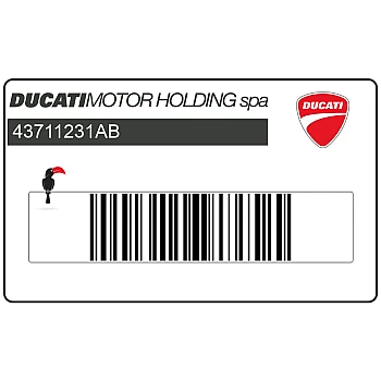 Half-fairing DUCATI 800 graphic, right side, upper
