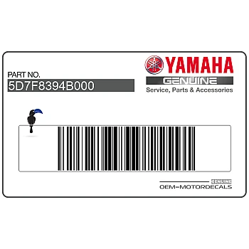 Kanzel / Oberteil Verkleidung Aufkleber, Rechte Seite