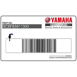 Side cowling decal, left side